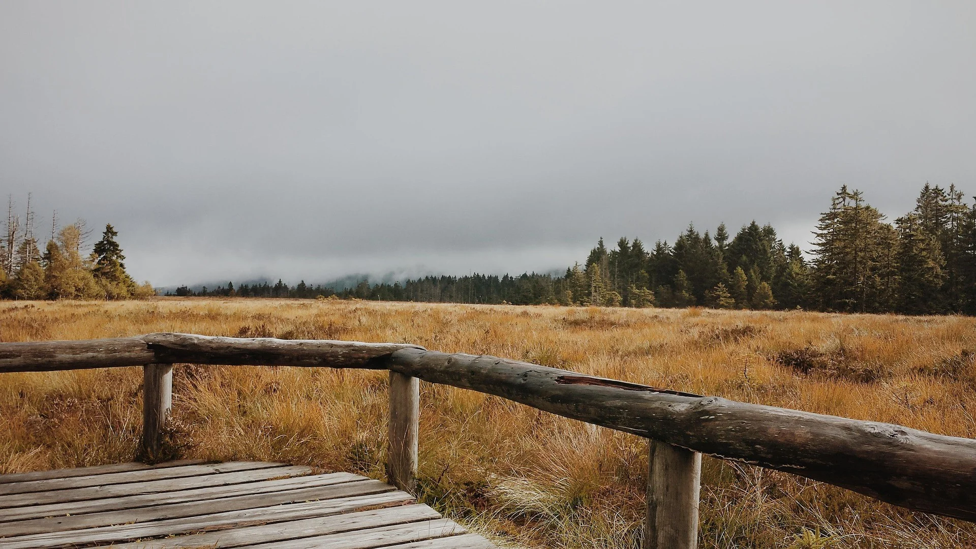 Foto - Landschaft im Harz-Gebirge